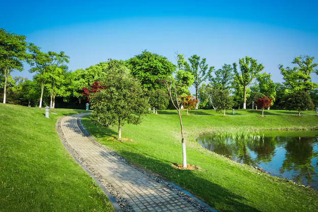 Janeswar Park: The Perfect Spot for Nature Lovers and Outdoor Enthusiasts