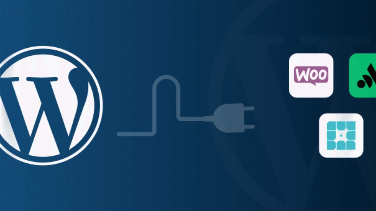 WordPress plugins