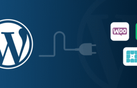WordPress plugins